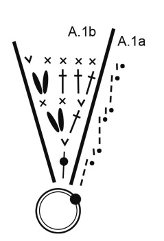 Diagram for DROPS Extra 0-1389