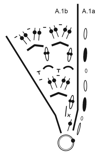 Diagram for DROPS Extra 0-1408