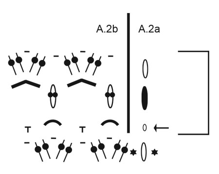 Diagram for DROPS Extra 0-1408