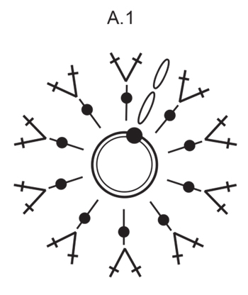 Diagram for DROPS Extra 0-1434