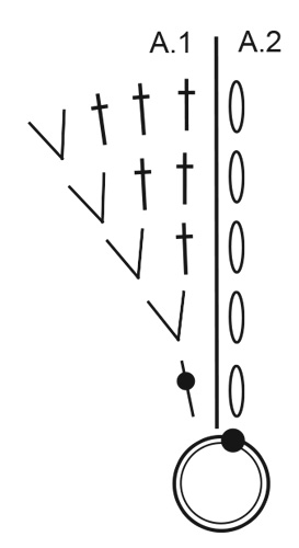 Diagram for DROPS Extra 0-1473