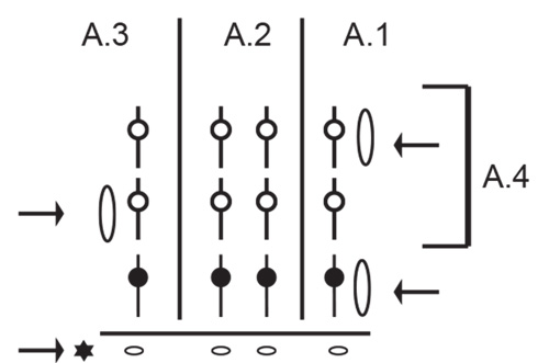 Diagram for DROPS Extra 0-1682