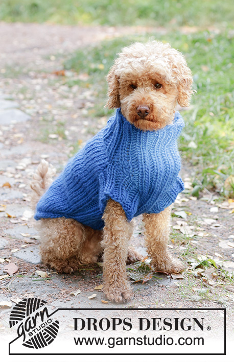 Blue Shadow / DROPS Extra 0-81 - Knitted dog jumper in DROPS Snow. The piece is worked from the tail to the neck with stocking stitch and rib. Sizes XS - L.