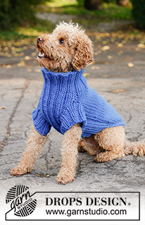 Blue Shadow / DROPS Extra 0-81 - Knitted dog jumper in DROPS Snow. The piece is worked from the tail to the neck with stocking stitch and rib. Sizes XS - L.