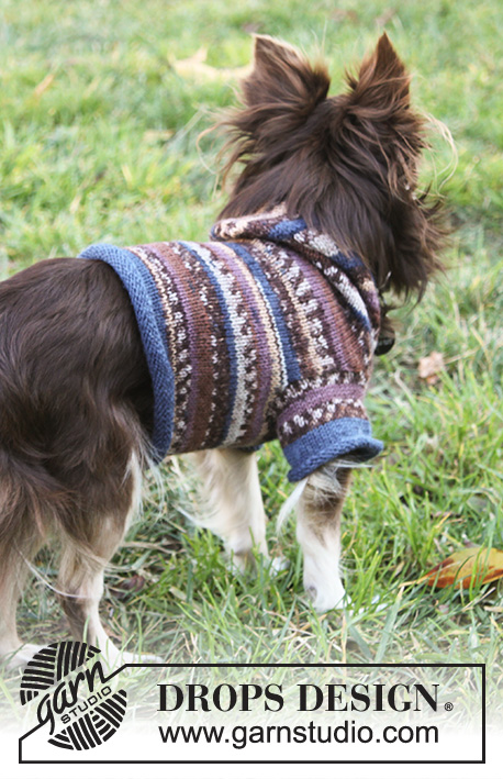 Little Watcher / DROPS Extra 0-833 - Gestrickter Hundepullover / Pullover für Hunde in DROPS Fabel. Die Arbeit wird ab dem Schwanz bis zum Hals glatt rechts mit Kapuze gestrickt. Größe XS - M.