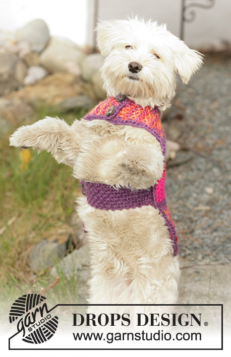 Dog Harness DIY Sewing Pattern Dog Chest Harness - China Dog Harness and  Dog Collars price