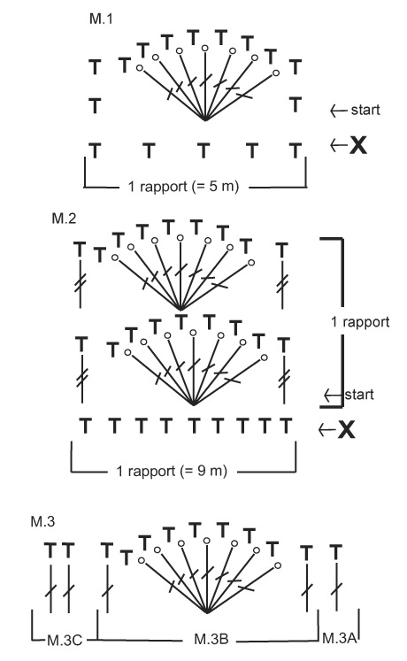 Diagram for DROPS 110-9