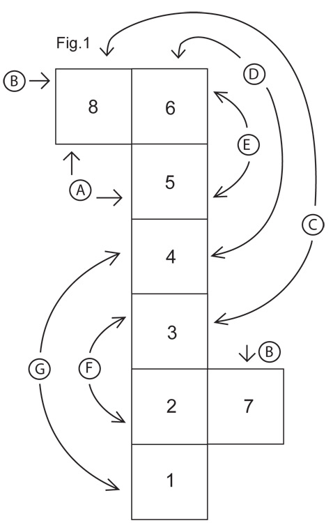 Diagram for DROPS 111-9