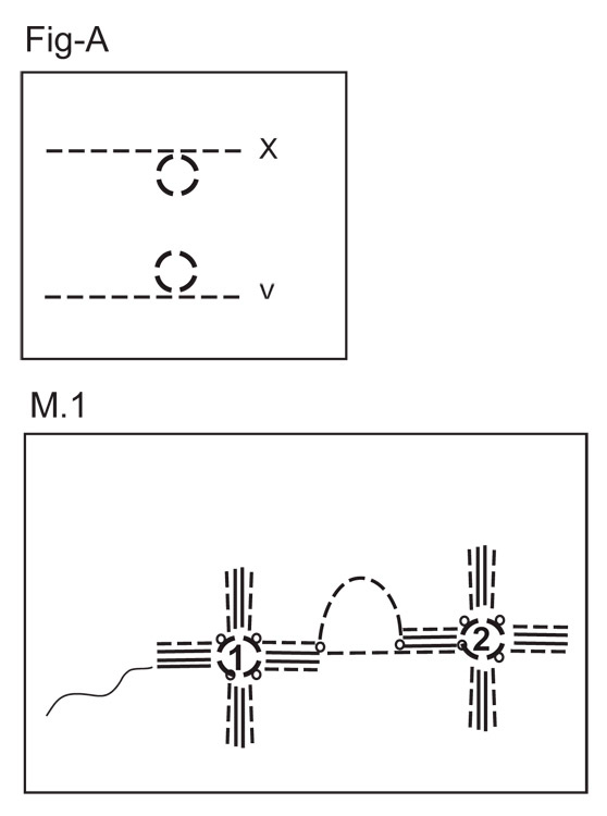 Diagram for DROPS 113-26