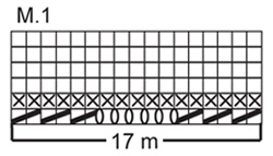 Diagram for DROPS 118-31