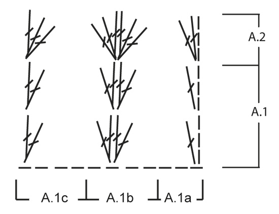 Diagram for DROPS 158-49