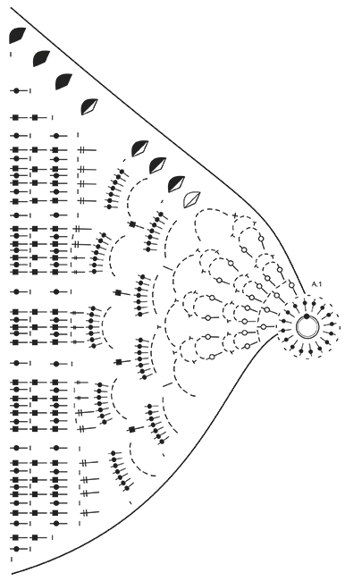 Diagram for DROPS 167-14