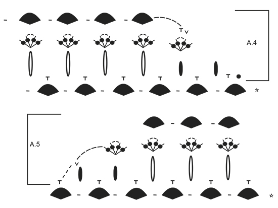 Diagram for DROPS 171-21