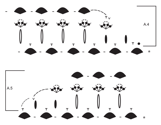 Diagram for DROPS 177-18