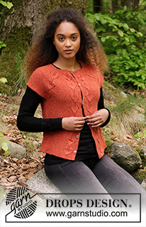Free knitting and crochet patterns / DROPS 179-31
