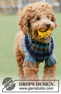 Paws & Stripes / DROPS 185-35 - Dog’s knitted jumper with rib. Sizes XS - M. The piece is worked in DROPS Big Delight.