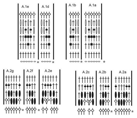 Diagram for DROPS 190-4