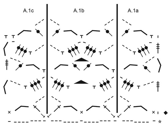 Diagram for DROPS 191-15