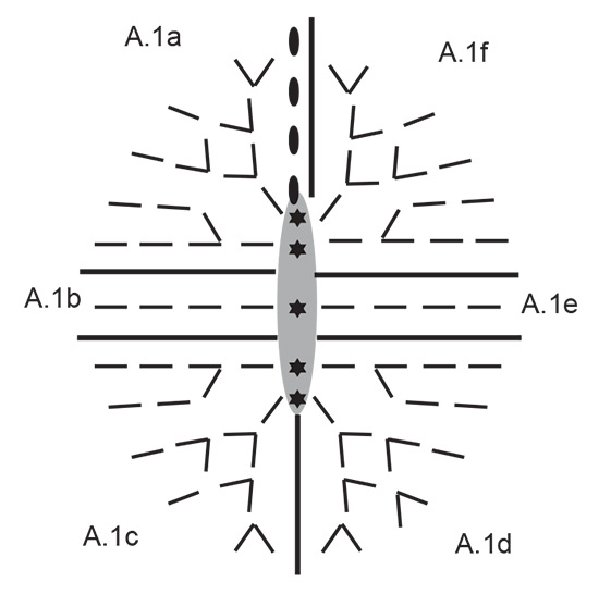 Diagram for DROPS 193-17