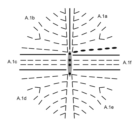 Diagram for DROPS 193-6