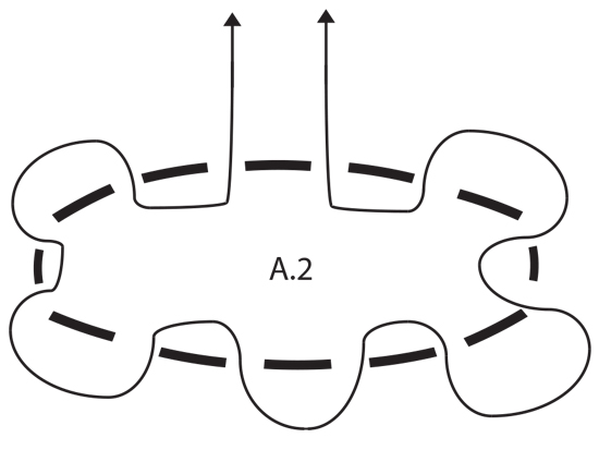 Diagram for DROPS 198-32