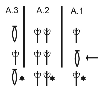 Diagram for DROPS 198-40