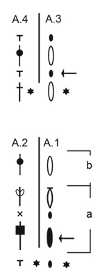 Diagram for DROPS 207-28