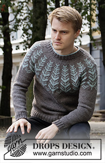 Men's Jumpers / DROPS 208-11