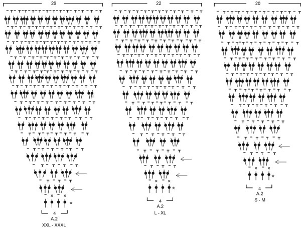 Diagram for DROPS 216-32