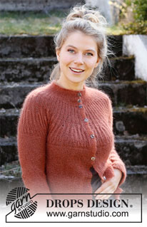 Free knitting and crochet patterns / DROPS 217-21