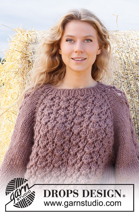 Free knitting and crochet patterns / DROPS 223-17