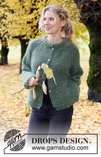 Free knitting and crochet patterns / DROPS 226-10