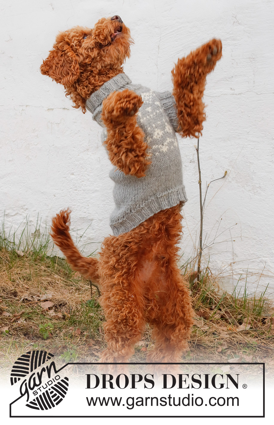 Atlanterhavsveien / DROPS 228-53 - Knitted jumper for dogs with Nordic pattern in DROPS Alaska. Sizes XS - M.