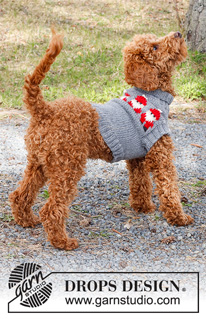 Merry Santas / DROPS 228-54 - Knitted sweater for dogs in DROPS Alaska. The piece is worked with Nordic Santa pattern. Sizes XS - M. Theme: Christmas.