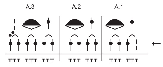 Diagram for DROPS 229-3