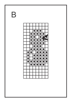 Diagram for DROPS 229-35