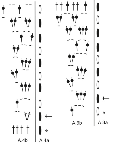 Diagram for DROPS 230-33