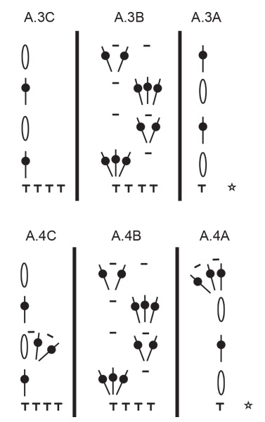 Diagram for DROPS 239-17