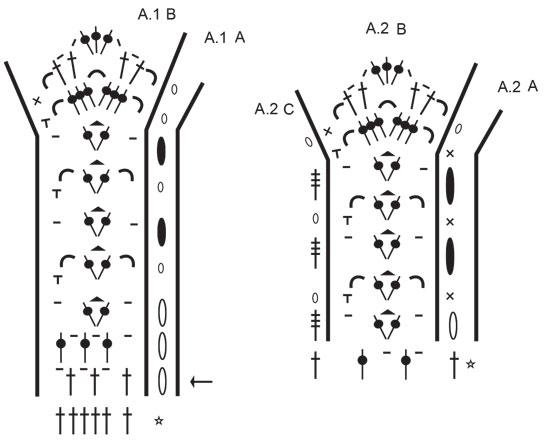 Diagram for DROPS 240-30