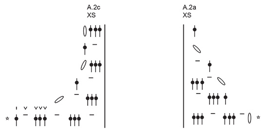 Diagram for DROPS 240-9