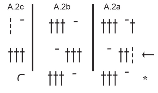 Diagram for DROPS 241-16
