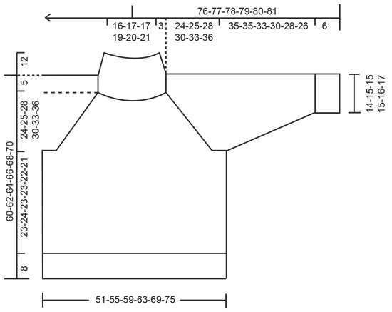 Diagram measurements for DROPS 243-21