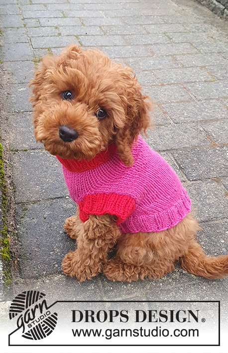Good Girl Sweater / DROPS 245-32 - Koiran neulottu pusero DROPS Nepal-langasta. Työ neulotaan pääntieltä kohti häntää. Koot XS - M.