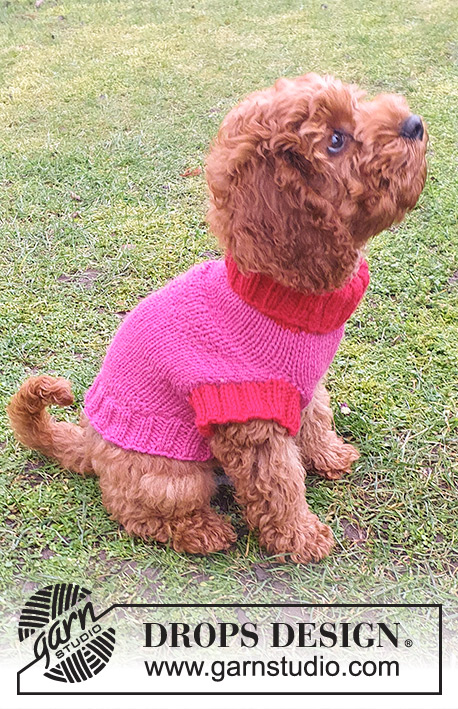 Good Girl Sweater / DROPS 245-32 - Koiran neulottu pusero DROPS Nepal-langasta. Työ neulotaan pääntieltä kohti häntää. Koot XS - M.