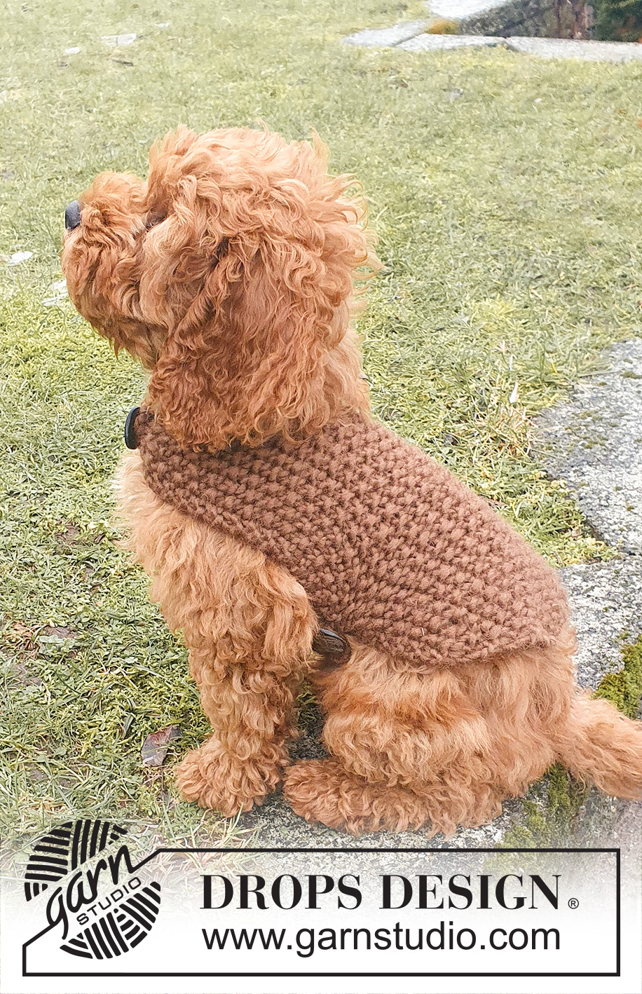 Best Day Ever Coat / DROPS 245-33 - Gebreid hondenjas / hondenvest in DROPS Snow. Het werk wordt gebreid in gerstekorrel vanaf de staart tot de hals, met bandje onder de buik. Maten XS-M.
