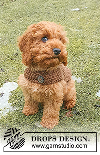 Best Day Ever Coat / DROPS 245-33 - Gebreid hondenjas / hondenvest in DROPS Snow. Het werk wordt gebreid in gerstekorrel vanaf de staart tot de hals, met bandje onder de buik. Maten XS-M.