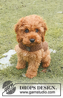 Best Day Ever Coat / DROPS 245-33 - Gebreid hondenjas / hondenvest in DROPS Snow. Het werk wordt gebreid in gerstekorrel vanaf de staart tot de hals, met bandje onder de buik. Maten XS-M.
