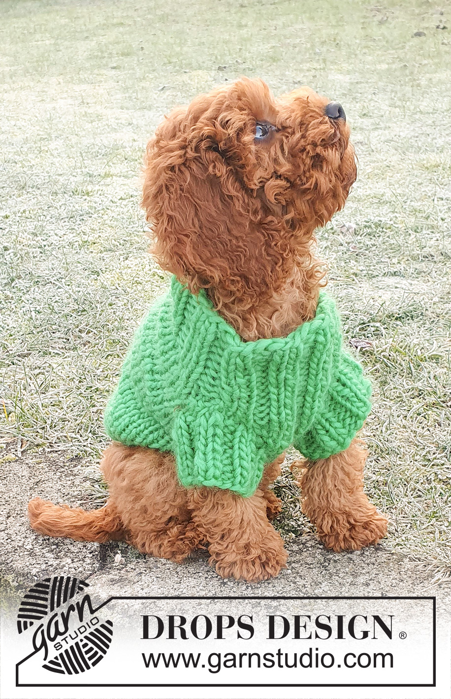 Good Boy Sweater / DROPS 245-34 - DROPS Snow lõngast kaelast sabani kootud kampsun koerale suurustele XS kuni L