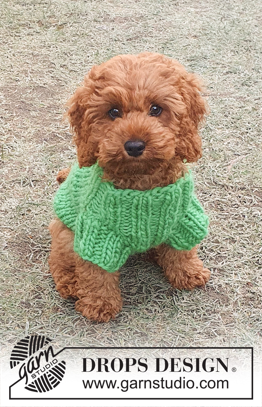 Good Boy Sweater / DROPS 245-34 - DROPS Snow lõngast kaelast sabani kootud kampsun koerale suurustele XS kuni L