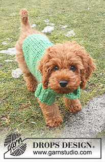Good Boy Sweater / DROPS 245-34 - DROPS Snow lõngast kaelast sabani kootud kampsun koerale suurustele XS kuni L